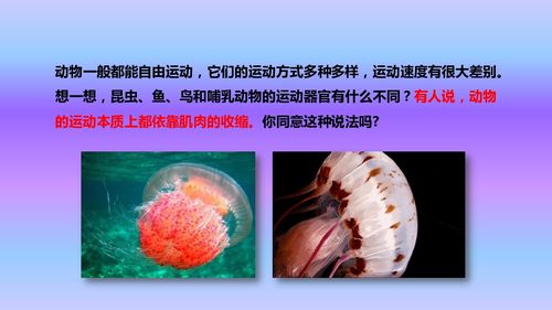 人教八年級上冊生物課件第五單元第二章第一節(jié) 動(dòng)物的運(yùn)動(dòng)課件 24張ppt