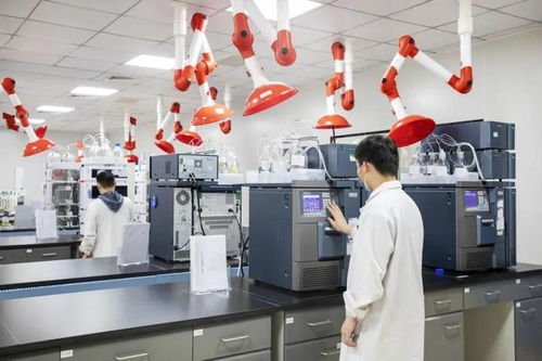 黃陂區生物產業招商成果豐碩 德國克諾爾等12個重大項目落戶