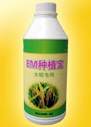 廣州以諾生物科技推出‘em種植寶’水稻專用產品，助力綠色農業發展
