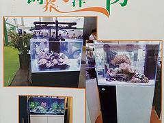 專業(yè)海洋生物魚缸選購指南 水藍玻璃制品公司如何為您打造理想水族世界